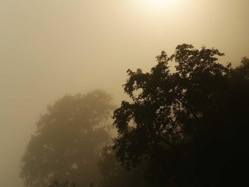 CorrynNorvSolKoren Bucaramanga